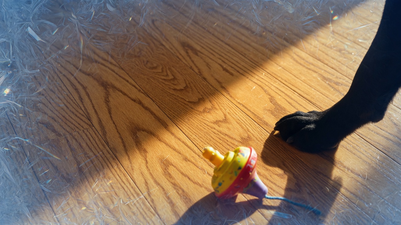 Floor Finish Wear Layer Explained: The Hidden Protection That Lasts